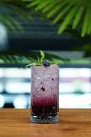 Yaban Mersini Mojito